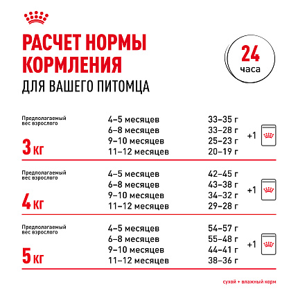 Royal Canin Sphynx Kitten Корм сухой сбалансированный для котят породы Сфинкс до 12 месяцев, 0,4 кг